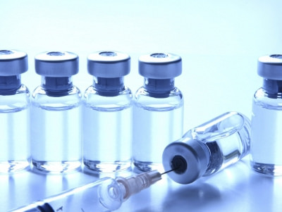 На Рівненщині не вистачає вакцин від сказу
