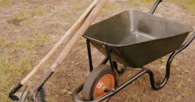 Фото: Спецкомбінат