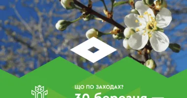 Фото: УК Рівнеради