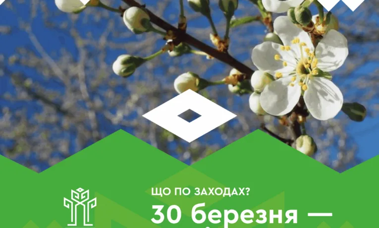 Фото: УК Рівнеради