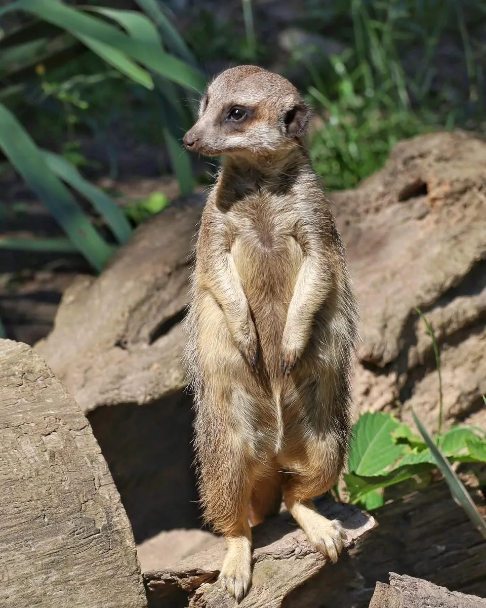 Рівненський зоопарк пропонує роботу