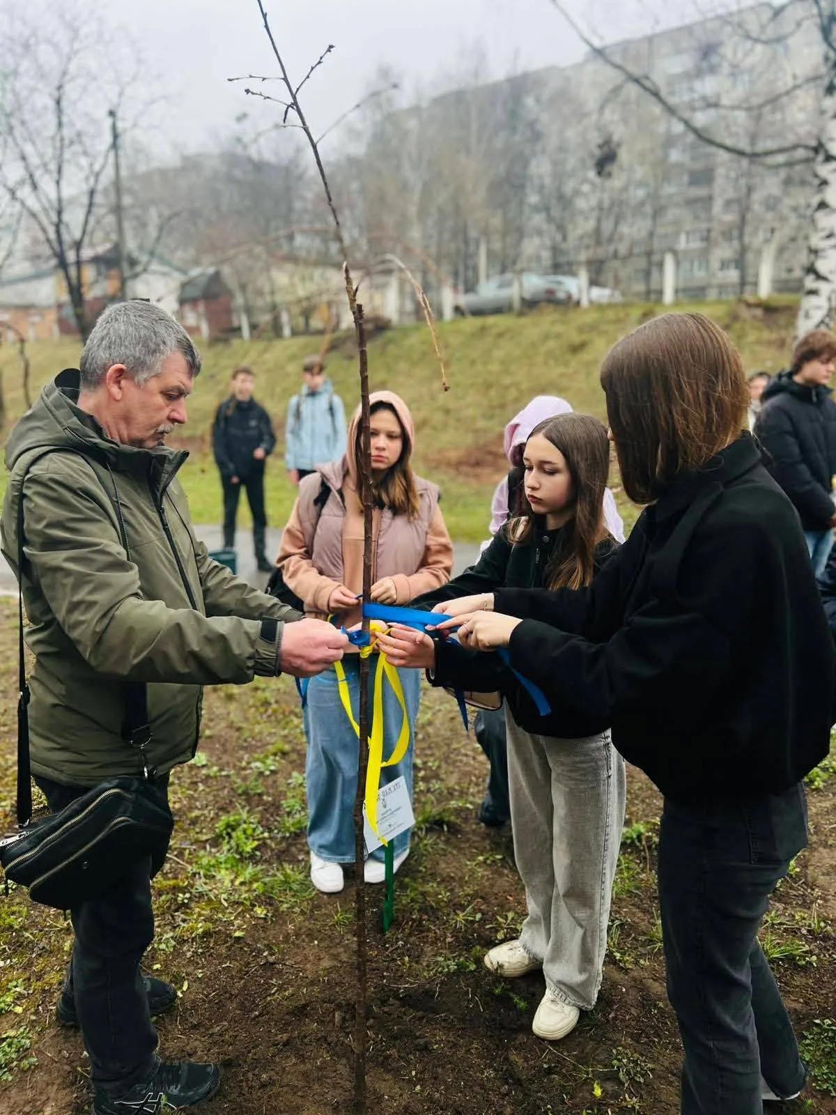 Учні одного з ліцеїв Рівного висадили дерева на честь загиблих випускників навчального закладу