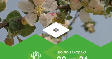 Культурні заходи, які відбудуться у Рівному протягом цього тижня