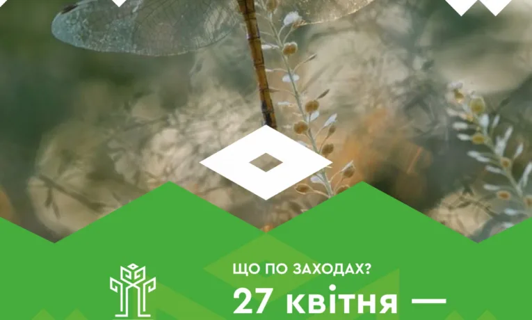 Фото: УК Рівнеради