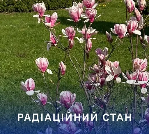 Радіаційний стан навколо Хмельницької АЕС в межах норми