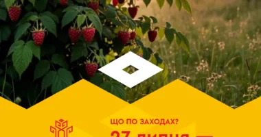 Культурні заходи, які відбудуться в Рівному протягом цього тижня