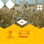 Культурні події, які відбудуться в Рівному цього тижня