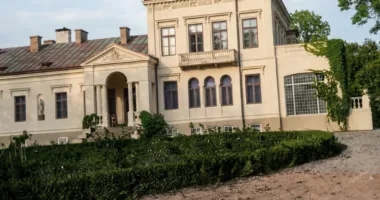 Палац  у Довгошиях