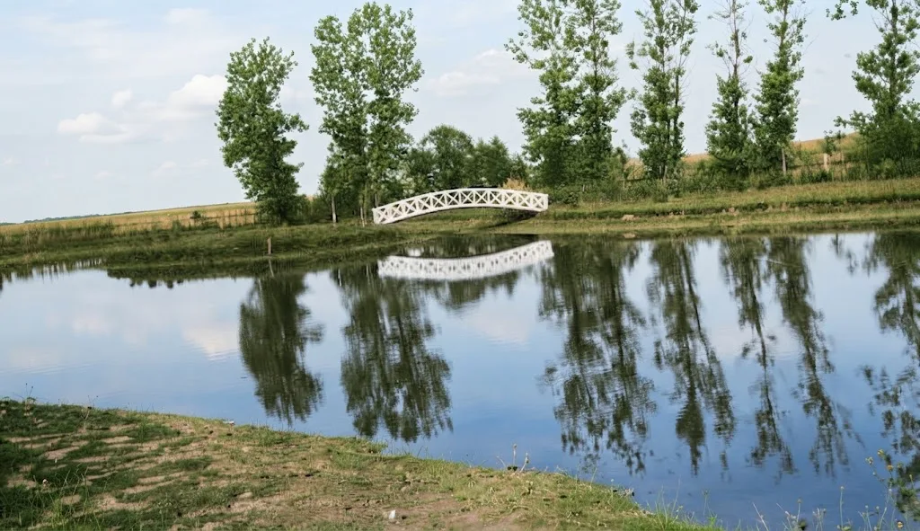 Палац у Довгошиях