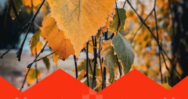 Культурні заходи, які відбудуться в Рівному протягом цього тижня