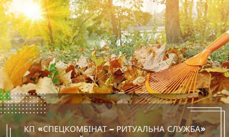 У Рівному одне з комунальних підприємств приймає чисте опале листя