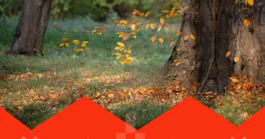 Культурне дозвілля, яке чекає рівнян та гостей міста цього тижня